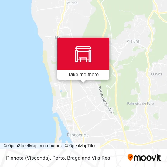 Pinhote (Visconda) map