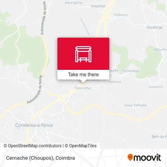 Cernache (Choupos) map