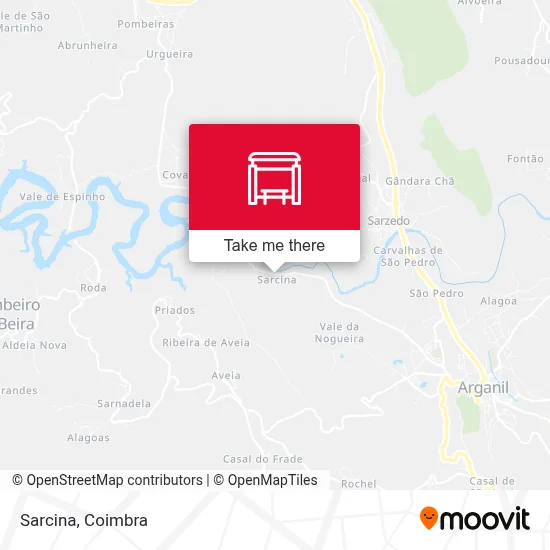 Sarcina map