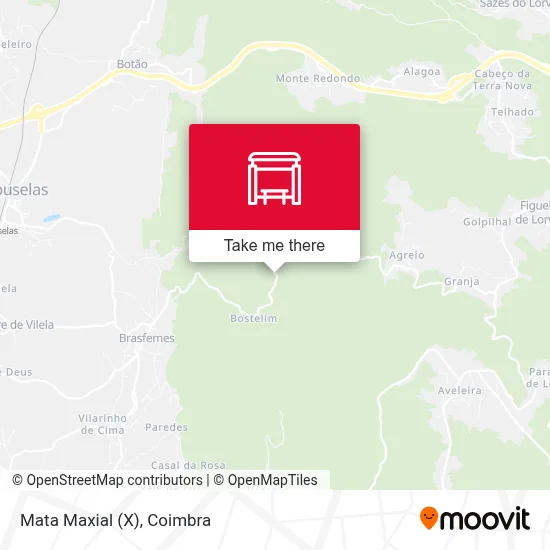 Mata Maxial (X) map