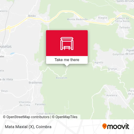 Mata Maxial (X) map