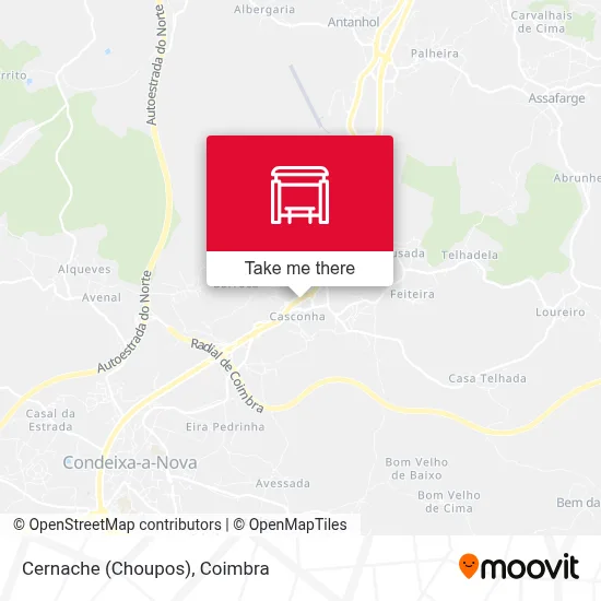 Cernache (Choupos) map