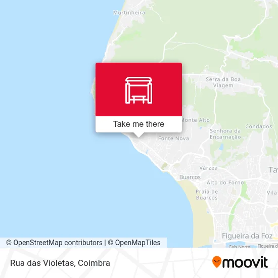 Rua das Violetas map