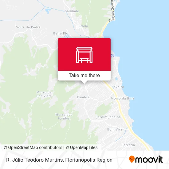 R. Júlio Teodoro Martins map