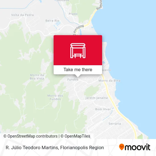 R. Júlio Teodoro Martins map
