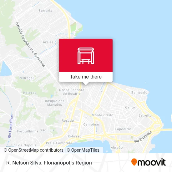 R. Nelson Silva map