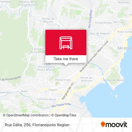 Rua Dália, 256 map