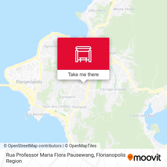 Rua Professor Maria Flora Pausewang map