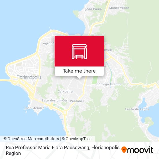 Rua Professor Maria Flora Pausewang map