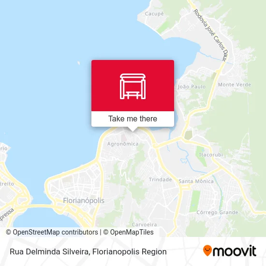 Rua Delminda Silveira map