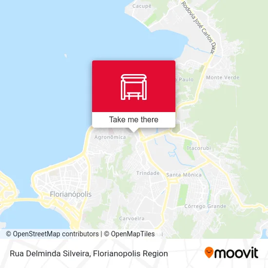 Rua Delminda Silveira map