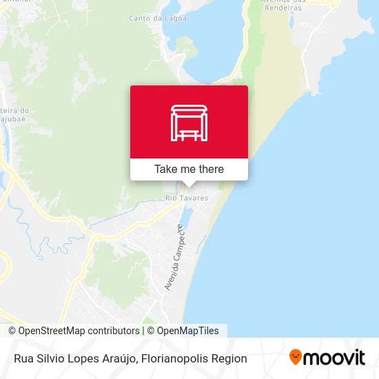 Rua Silvio Lopes Araújo map