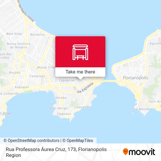 Rua Professora Áurea Cruz, 173 map