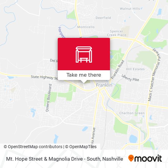 Mt. Hope Street & Magnolia Drive - South map