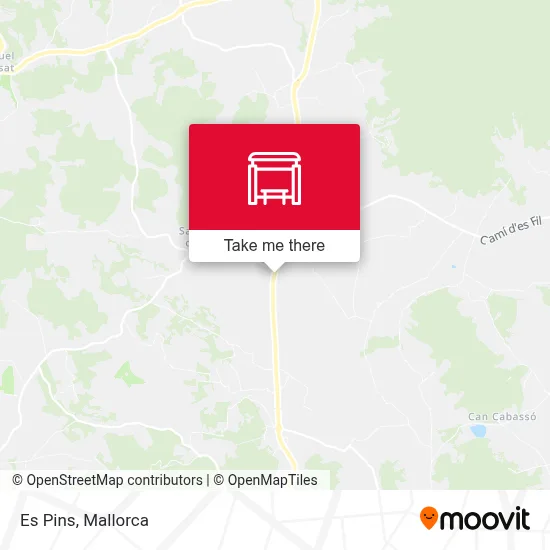 Es Pins map