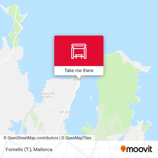 Fornells (T.) map