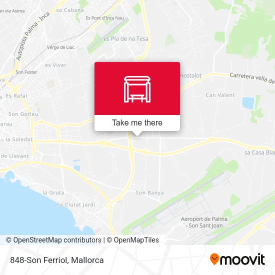 848-Son Ferriol map
