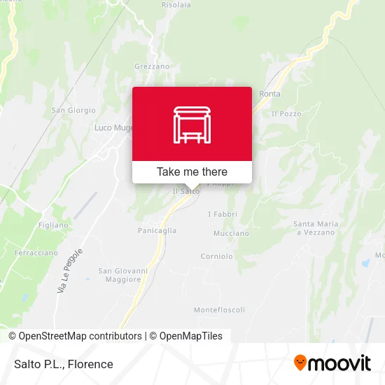 Salto P.L. map