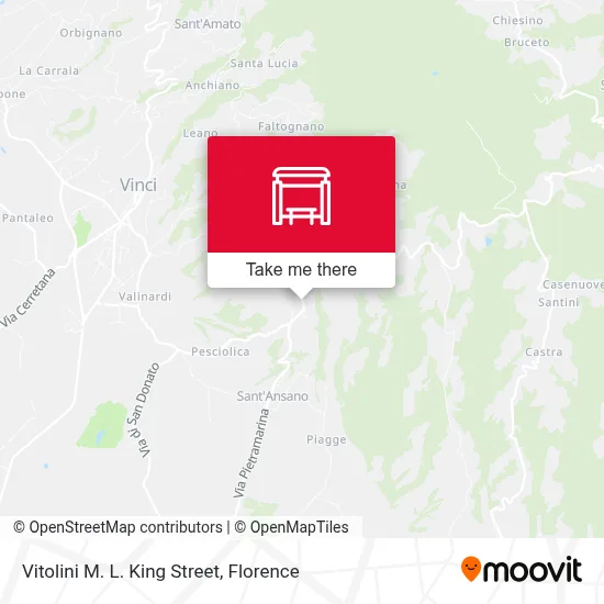 Vitolini M. L. King Street map