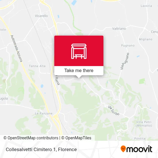 Collesalvetti Cimitero 1 map