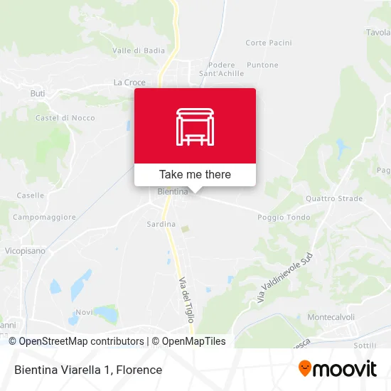 Bientina Viarella 1 map