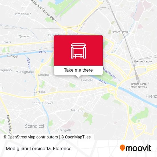 Modigliani Torcicoda map