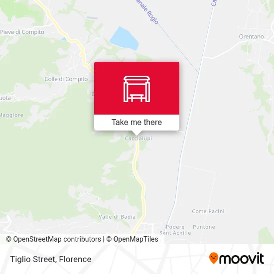 Tiglio Street map