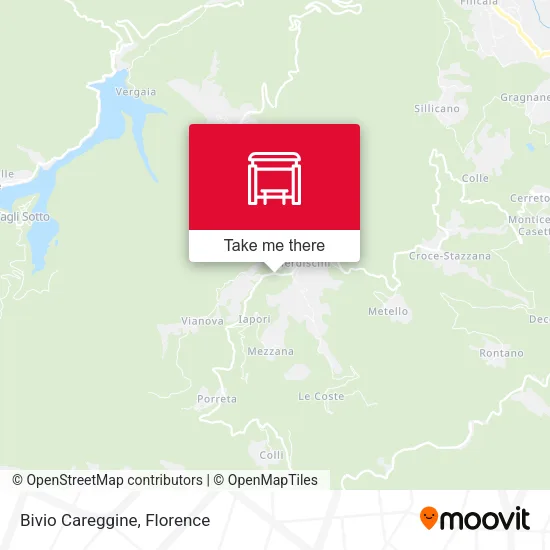 Bivio Careggine map