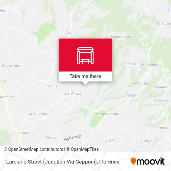 Larciano Street (Junction Via Gepponi) map