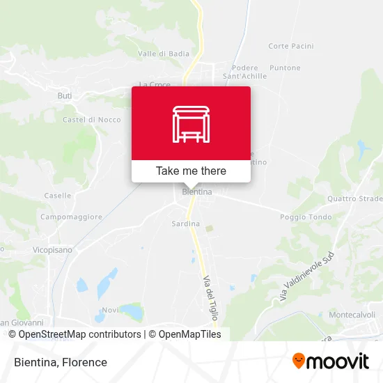 Bientina map