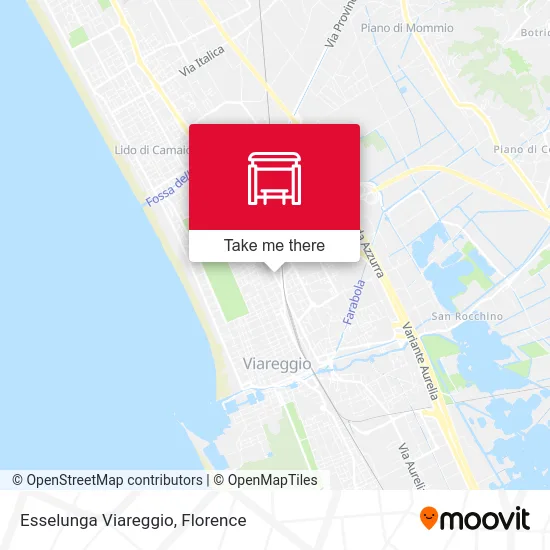 Esselunga Viareggio map