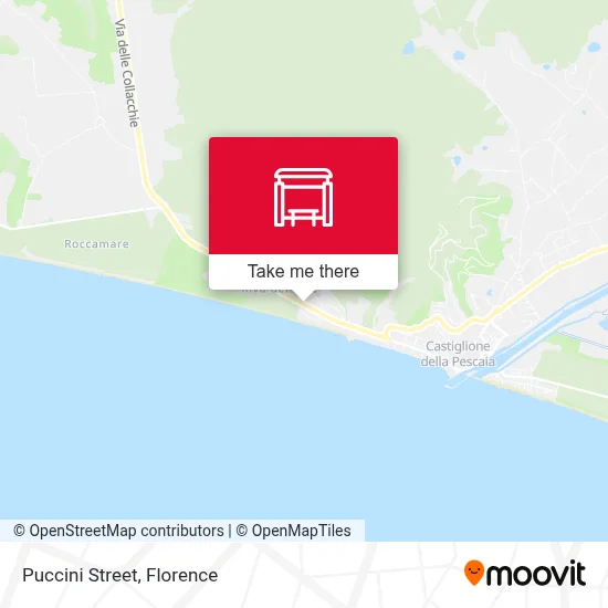 Puccini Street map
