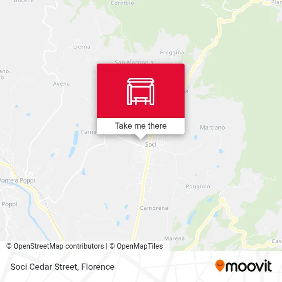 Soci Cedar Street map