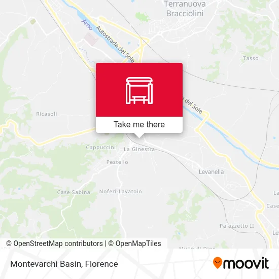 Montevarchi Basin map