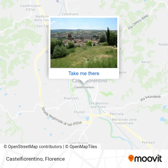 Castelfiorentino map