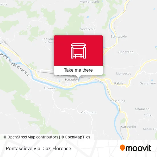 Pontassieve Via Diaz map