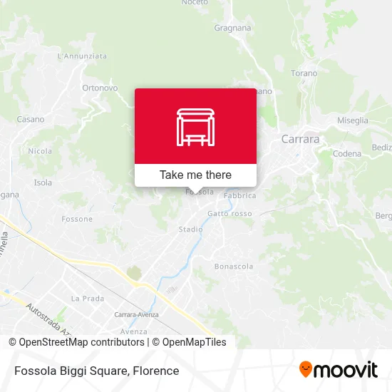 Fossola Biggi Square map