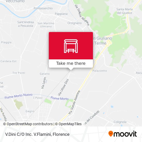 V.Dini C/O Inc. V.Flamini map