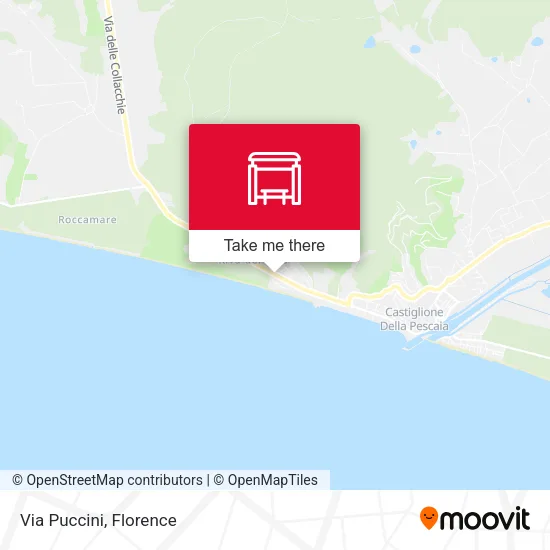 Via Puccini map
