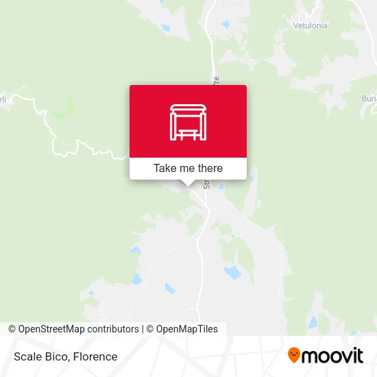 Scale Bico map