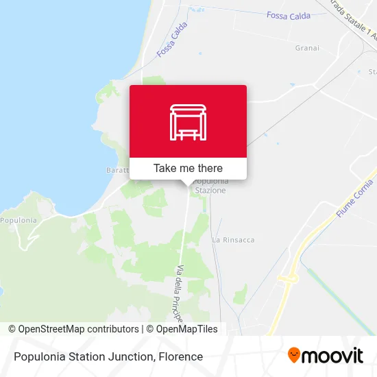 Populonia Station Junction map