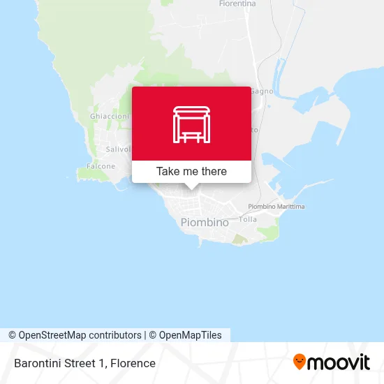 Barontini Street 1 map