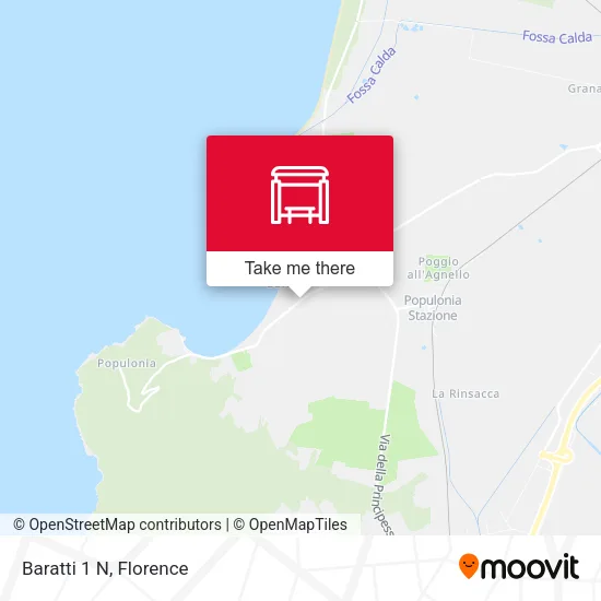 Baratti 1 N map