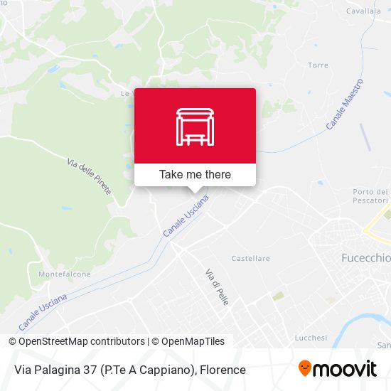 Via Palagina 37 (P.Te A Cappiano) map