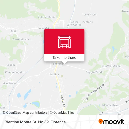 Bientina Monte St. No 39 map