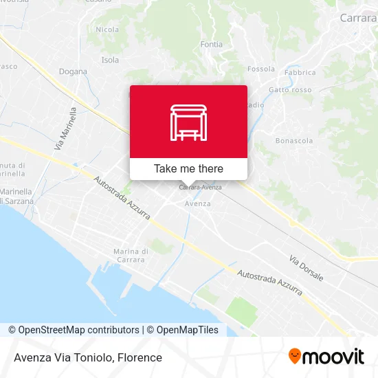 Avenza Via Toniolo map