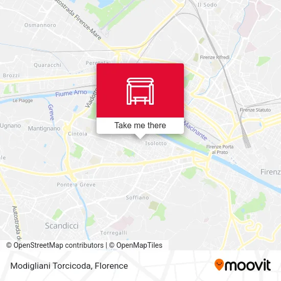 Modigliani Torcicoda map