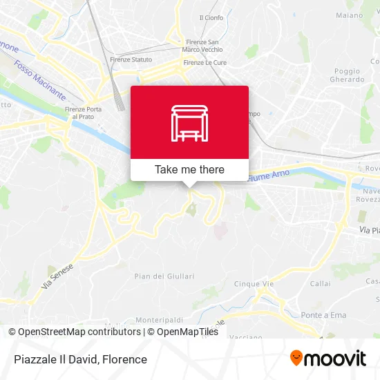 Piazzale Il David map