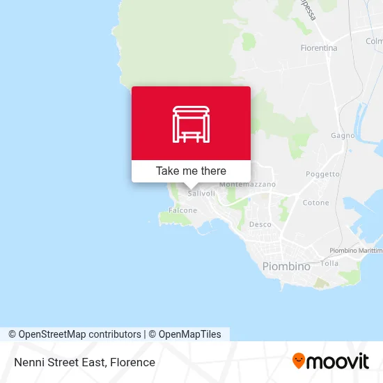 Nenni Street East map
