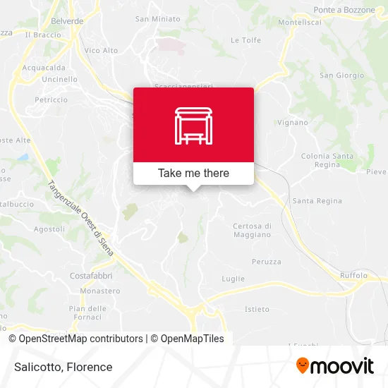 Salicotto map